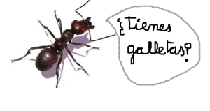 hormiga_galletas