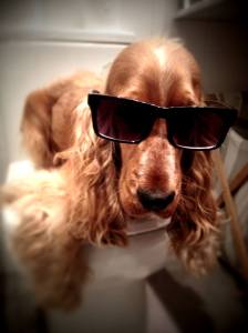 1655155_666899586699476_922759900_o