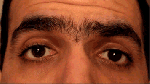 cejas
